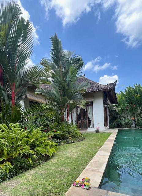Villa Exotica Ubud Dış mekan fotoğraf